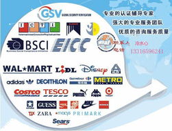 高效對(duì)接，精準(zhǔn)匹配——專(zhuān)業(yè)商務(wù)信息咨詢(xún)服務(wù)采購(gòu)指南